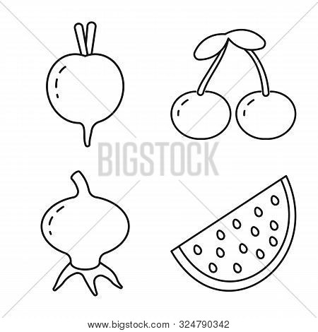 Vector Illustration Of Healthy And Ripe Icon. Collection Of Healthy And Harvest Stock Vector Illustr