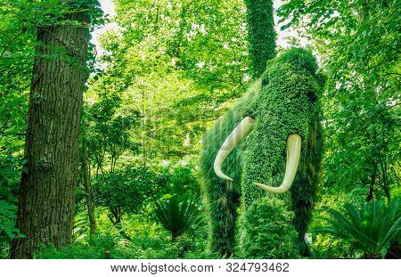 A Plant Living Sculpture Of A Wolly Mammoth With Ivory Tusks