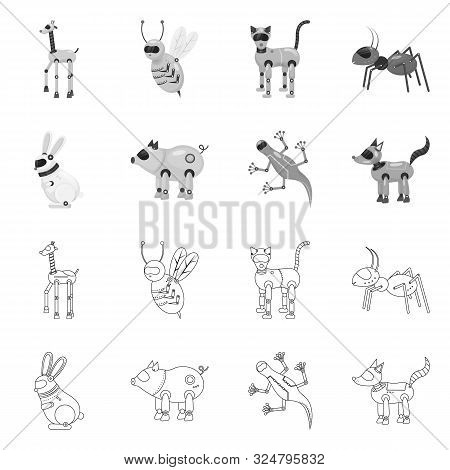 Vector Illustration Of Toy And Science Icon. Set Of Toy And Toy Stock Symbol For Web.