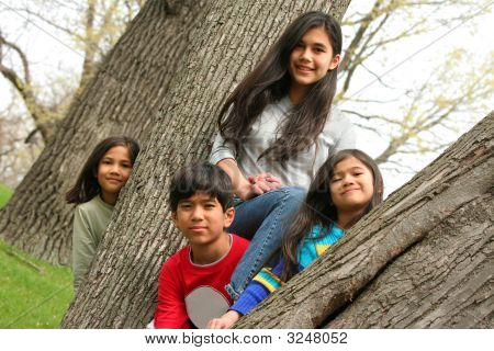 Quattro figli In una struttura ad albero