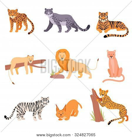 Set Of Wild Cats. Vector Illustration On A White Background.