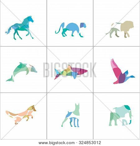 Lion And Panther Colorful Logos. Fish And Horse Icons, Dog And Fox Illustration.