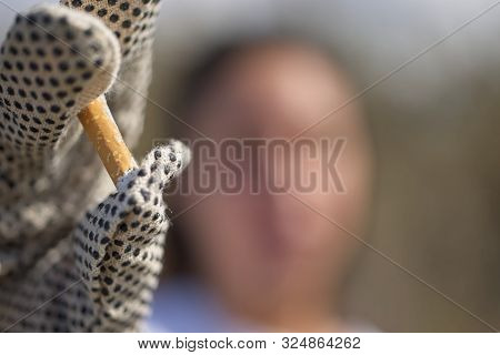 Collection Of Cigarette Butts By Volonteers On A Beach