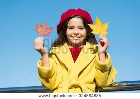 Inspiring Fall. Ideas For Autumn Leisure. Little Girl Adore Autumn Season. Kid Hold Maple Leaves. Sm