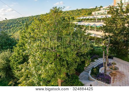 Famous Carmel Forest Resort In The Galillee, Israek