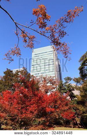 Tokyo, Japan - December 2, 2016: Autumn View Of Tokyo Modern Architecture From Kyu Shiba Rikyu Garde
