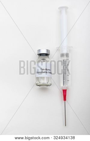 Medical Concept Showing Medical A Medical Vial Reading Tick-borne Encephalitis Vaccine And A Syringe