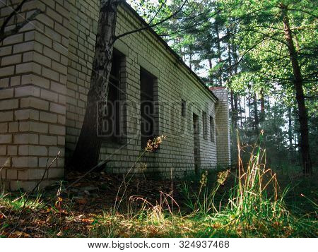 Abandoned Territory With Dilapidated Houses In The Middle Of The Forest. A White Kipipny Building Wi