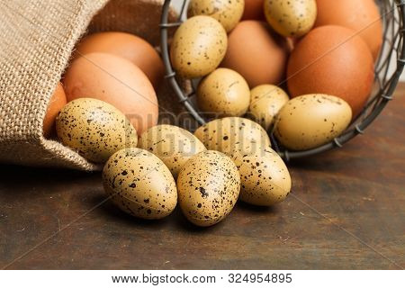 Natyral Chicken Brown Eggs And Plastic Quail Eggs