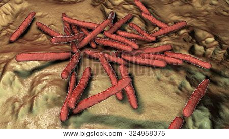 Mycobacterium Leprae Bacteria, The Causative Agent Of Leprosy, 3d Illustration