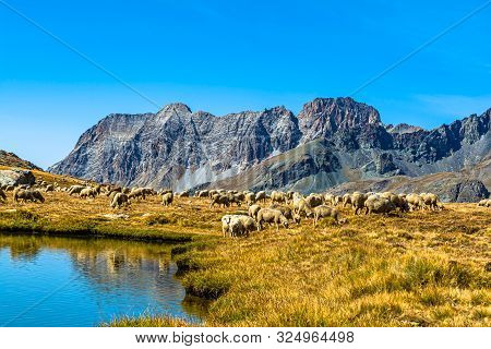 The Monviso And The Alpine Lakes Of Piedmont And The Province Of Cuneo