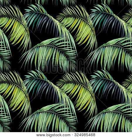 Seamless Pattern With Tropical Palm Leaves. Watercolor On Black Background.