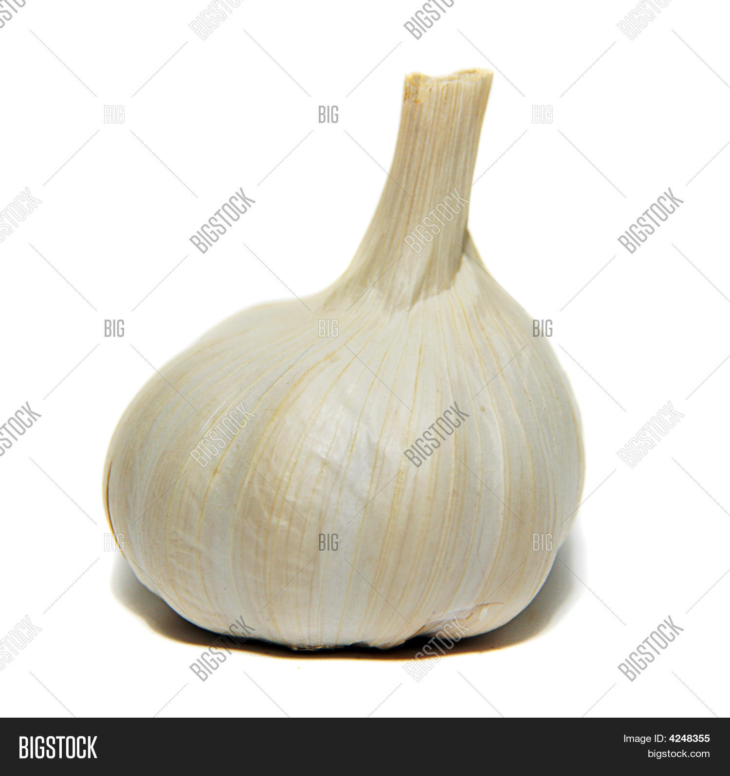 Garlic On White Image & Photo (Free Trial) | Bigstock