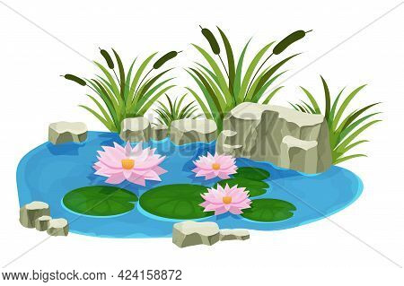 Lake With Calm Water, Lily Flowers, Bulrush And Stones In Cartoon Style Isolated On White Background