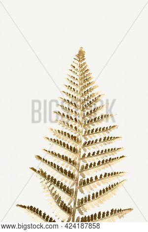 Golden leatherleaf fern plant mockup