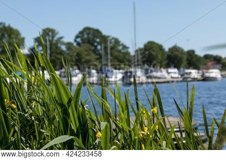 Ry, Denmark - June 16 2021: Ry Marina By Silkeborg, Beautiful Marina With Both In The Background And