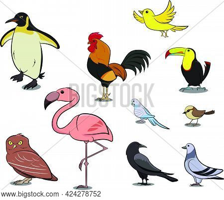 Flamingo Standing On 1 Leg. Pink Bird. Birds From Different Parts Of World. Common Birds. Bird Icon 
