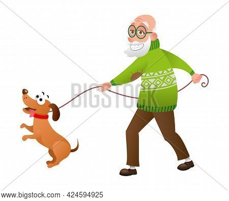 Old Man Walking With Dog. Smiling Grandfather With His Pet Dachshund On A Leash. Vector Illustration