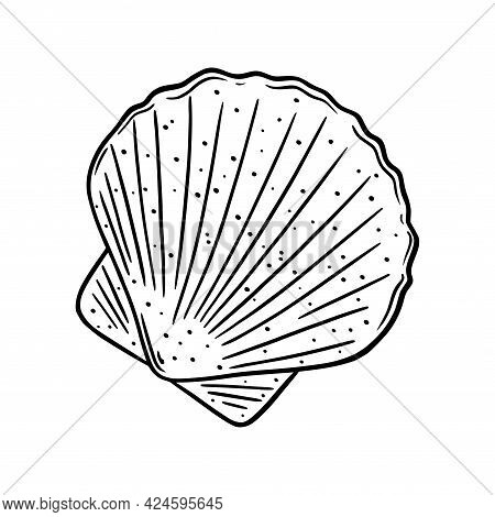 Scallop Shell Logo. Mediterranean Seashell Sketch. Vector Illustration Isolated In White Background