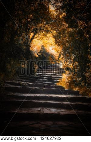 Stone steps walkway through an autumn forest. Warm toned foliage and vignette with dreamy and atmospheric style processing. 