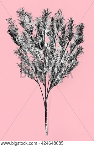 Artificial silver fern leaves on a pink background
