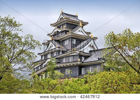 Okayama Castle, Japan