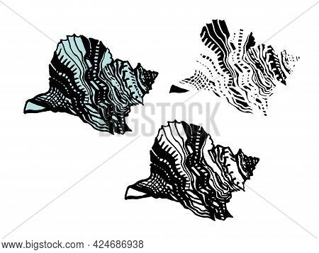 Set Of Ornamental Ocean Seashell Of Freehand Black Ink Line Isolated On White. Amazing Inhabitant Of