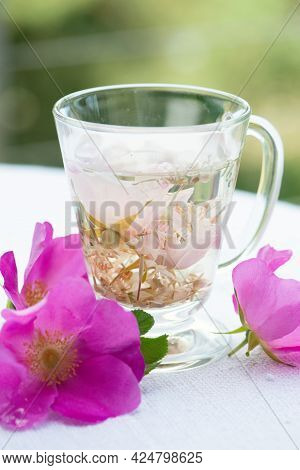 Herbal Rose Tea In The Glass Cup With Fresh Rugosa Rose (rosa Rugosa, Japanese Rose) Flowers On Back