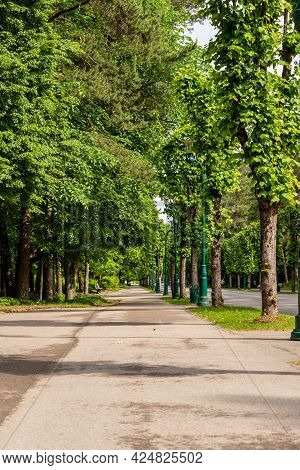 Alley In The Forest Park (mežaparks) At Summer. Vertical Photo Of Path In The Park Lined With High G
