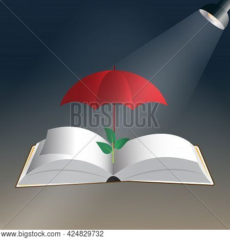 Tree Sapling That Grew On A Large Book Unfolded With The Light From The Lamp Covered By A Red Umbrel