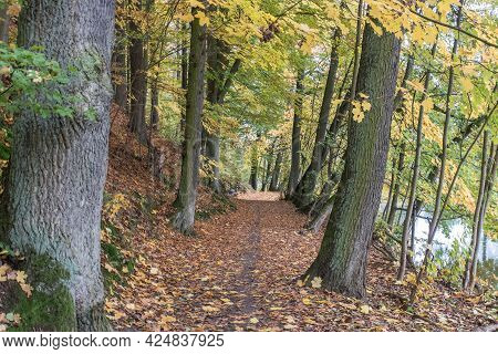 A Little Walkway Between Schwandorf And Fronberg In Bavaria, Called Schokoladenwegerl