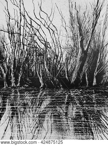The Wild Coast Of Thick Undergrowth. Black Ink On Cardboard