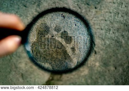 Hand Holding A Magnifying Glass Searching For A Footstep Track On The Ground, Crime Invetigations