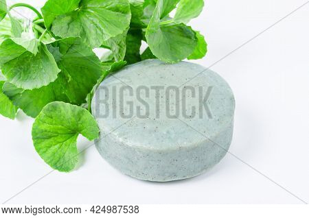 Soap Centella Asiatice With Fresh Green Leaf Centella Isolated On White Background.