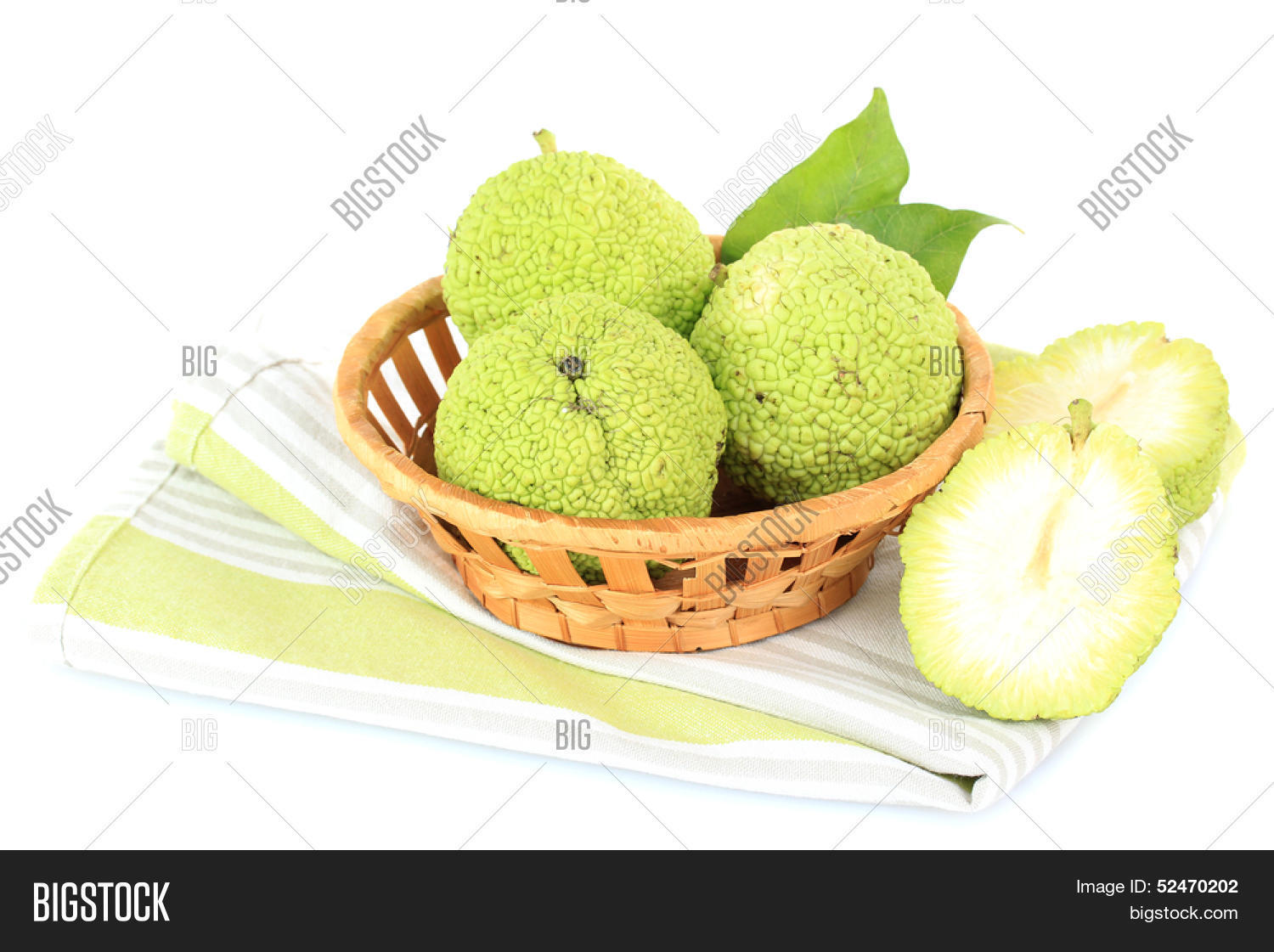 Osage Orange Fruits ( Image & Photo (Free Trial) Bigstock
