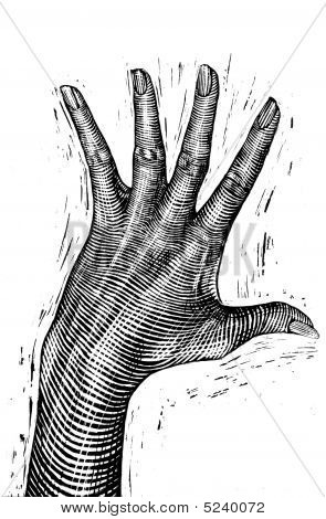 Kvinnans Hand sprida Illustration