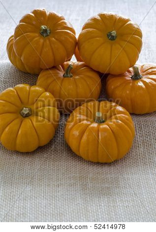Ornamental Halloween Mini Pumpkins