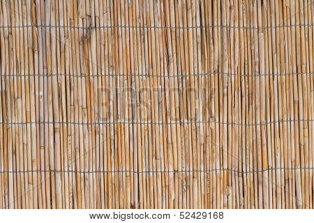fine texture