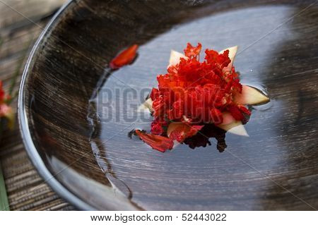Balmy flower floating in water