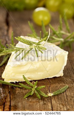 camambert cheese with rosemary