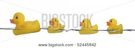 rubber ducks family