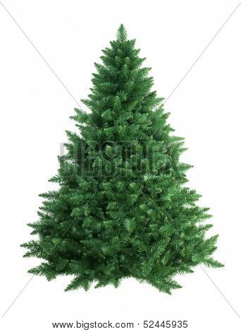 christmas tree isolated