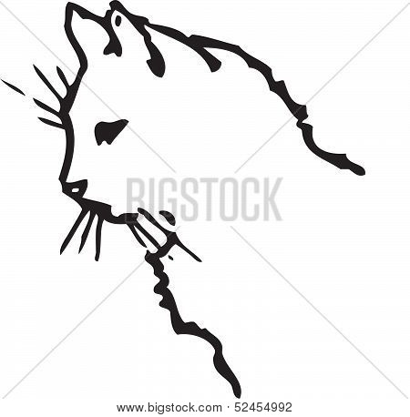 CatProfile