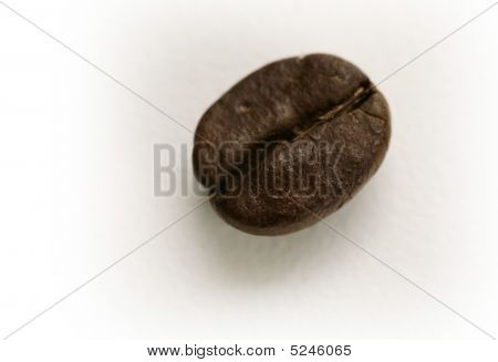 Coffee Bean