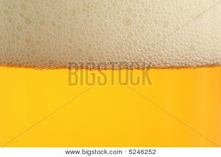 Beer Glass
