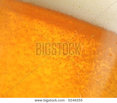 Beer Glass
