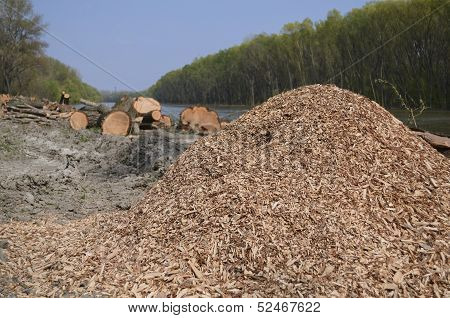 A Heap Of Wood Chips
