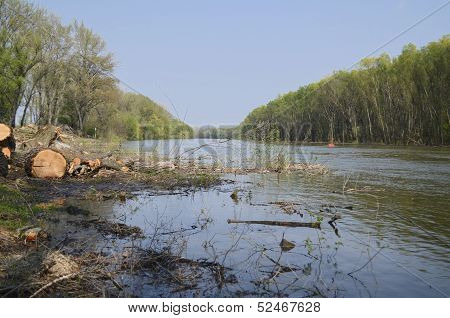 River After Wood Cutting