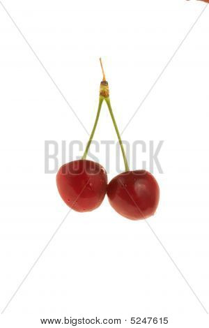 Sweet Cherry