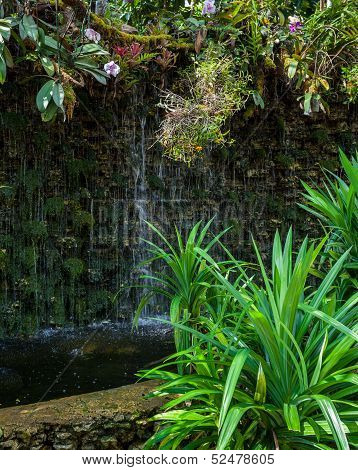 Waterfall In Butterfly Garden, Thailand